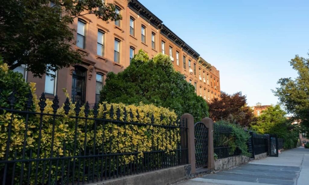 Things to Do in Carroll Gardens Brooklyn